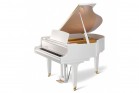 Kawai GL-20 WH/P ���������� ����� - ����������� ����������� � �������������, ������ �� �������� ���� � ��������-��������