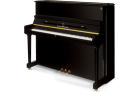 SCHULZE POLLMANN A 112A Black Gloss - ����������� ����������� � �������������, ������ �� �������� ���� � ��������-��������