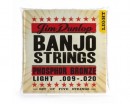 Dunlop DJP0920 Banjo Phosphor Bronze Light 9-20 - ����������� ����������� � �������������, ������ �� �������� ���� � ��������-��������