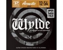 Dunlop ZWP Zakk Wylde Acoustic Light 12-54 - ����������� ����������� � �������������, ������ �� �������� ���� � ��������-��������
