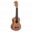 Mahogany Series ������� ������� � ������ ���� ����������� Cascha HH-2026 - ����������� ����������� � �������������, ������ �� �������� ���� � ��������-��������