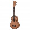 Mahogany Series ������� ������� ��������� � ������ ���� ����������� Cascha HH-2026L - ����������� ����������� � �������������, ������ �� �������� ���� � ��������-��������