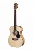 ������ Maton EBG808 - ����������� ����������� � �������������, ������ �� �������� ���� � ��������-��������