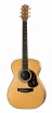 ������ Maton EBG808-ARTIST - ����������� ����������� � �������������, ������ �� �������� ���� � ��������-��������