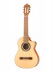 Requinto Series Pro ������������ ������ 12 Ortega RQ38 - ����������� ����������� � �������������, ������ �� �������� ���� � ��������-��������