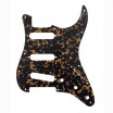 �������� �������� ������������� Stratocaster SSS ���� ����������� DAndrea DPP-ST-TOY - ����������� ����������� � �������������, ������ �� �������� ���� � ��������-��������