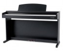 GEWA DIGITAL-PIANO DP300 BLACK �������� ������� - ����������� ����������� � �������������, ������ �� �������� ���� � ��������-��������