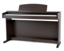 GEWA DIGITAL-PIANO DP300 ROSEWOOD �������� ������� - ����������� ����������� � �������������, ������ �� �������� ���� � ��������-��������