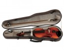 GEWA Violin Outfit Europa 11 4/4 ������� � ��������� (������, ������, ��������, �����������) - ����������� ����������� � �������������, ������ �� �������� ���� � ��������-��������