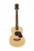 ������ Maton EMTE - ����������� ����������� � �������������, ������ �� �������� ���� � ��������-��������