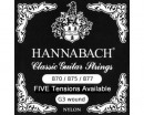HANNABACH STRINGS FOR CLASSIC GUITAR G/3 NYLON WOUND chrome 875HT ������ ��� ������������ ������ - ����������� ����������� � �������������, ������ �� �������� ���� � ��������-��������