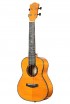 MARTIN ROMAS MR22-YW ������ ������� ������� (24 �����) - ����������� ����������� � �������������, ������ �� �������� ���� � ��������-��������