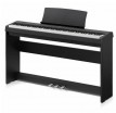 �������� ������� Kawai ES100B - ����������� ����������� � �������������, ������ �� �������� ���� � ��������-��������