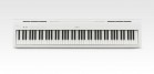 �������� ������� Kawai ES110W - ����������� ����������� � �������������, ������ �� �������� ���� � ��������-��������