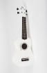 ������� ������� Martin Romas 21WH - ����������� ����������� � �������������, ������ �� �������� ���� � ��������-��������