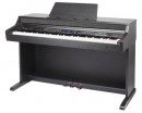 Medeli DP370 �������� ������� - ����������� ����������� � �������������, ������ �� �������� ���� � ��������-��������