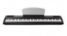 �������� ������� Kurzweil MPS20 F Fatar - ����������� ����������� � �������������, ������ �� �������� ���� � ��������-��������
