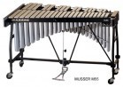 �������� LUDWIG MUSSER M55WT (��-�� ���) - ����������� ����������� � �������������, ������ �� �������� ���� � ��������-��������