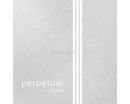 PIRASTRO Perpetual 320121 ������ A (��) ��� �����, ������� ��������� - ����������� ����������� � �������������, ������ �� �������� ���� � ��������-��������