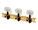 Pro Arte Classic Guitar Machineheads Goldplated ����� ��� ������������ ������ � ����� - ����������� ����������� � �������������, ������ �� �������� ���� � ��������-��������