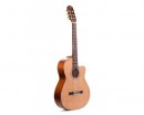 PRUDENCIO SAEZ 1-CW (50) Cedar Top ������ ������������ � ������� - ����������� ����������� � �������������, ������ �� �������� ���� � ��������-��������