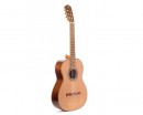 PRUDENCIO SAEZ 3-S (12) Cedar Top ������ ������������ - ����������� ����������� � �������������, ������ �� �������� ���� � ��������-��������