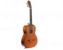 PRUDENCIO SAEZ 5-M Cedar Top ������ ������������ - ����������� ����������� � �������������, ������ �� �������� ���� � ��������-��������