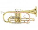 Roy Benson �R-202 ������ Bb - ����������� ����������� � �������������, ������ �� �������� ���� � ��������-��������