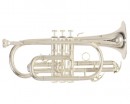 Roy Benson �R-202S ������ Bb - ����������� ����������� � �������������, ������ �� �������� ���� � ��������-��������