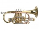 Roy Benson �R-302 Bb ������ - ����������� ����������� � �������������, ������ �� �������� ���� � ��������-��������