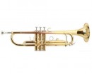 Roy Benson TR-101 Bb ����� - ����������� ����������� � �������������, ������ �� �������� ���� � ��������-��������