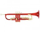 Roy Benson TR-101R Bb ����� - ����������� ����������� � �������������, ������ �� �������� ���� � ��������-��������