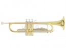 Roy Benson TR-202 Bb ����� - ����������� ����������� � �������������, ������ �� �������� ���� � ��������-��������