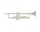 Roy Benson TR-202S Bb ����� - ����������� ����������� � �������������, ������ �� �������� ���� � ��������-��������