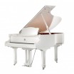 ����� Sam Martin GP-158 White - ����������� ����������� � �������������, ������ �� �������� ���� � ��������-��������