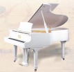 ����� Sam Martin GP-186 White - ����������� ����������� � �������������, ������ �� �������� ���� � ��������-��������