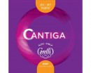 ������ ��� ����� CORELLI 930F Cantiga High Tension - ����������� ����������� � �������������, ������ �� �������� ���� � ��������-��������