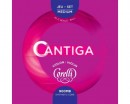 ������ ��� ������� CORELLI 900MB Cantiga Medium - ����������� ����������� � �������������, ������ �� �������� ���� � ��������-��������