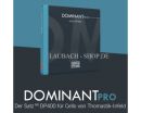 THOMASTIK Dominant Pro DP400 ������ ��� ���������� 4/4 - ����������� ����������� � �������������, ������ �� �������� ���� � ��������-��������