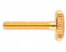WITTNER Tailpiece Screw ���� ��������������� ��� ������� 1/2 - 4/4 - ����������� ����������� � �������������, ������ �� �������� ���� � ��������-��������
