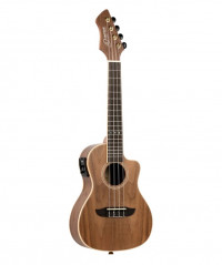 Horizon Series ������� ���������� �� ��������������� � ������ ���� Ortega RUWN-CE