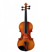 Virtuoso Primo ������� 44 � �������� � ������� Soundsation PVI-44