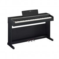 Arius �������� ������� �� ������� � ������� ������ Yamaha YDP-145B