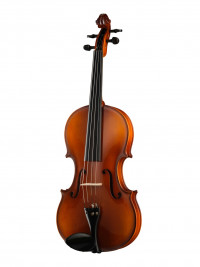 Rhapsody Student ���� ������������ Hora A100-16,5