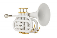 ����� Bb ���������� ����� John Packer JP159W
