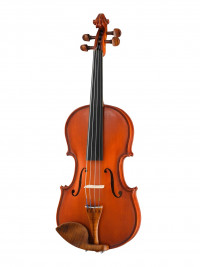 Student Genial I Gloria ������� 34 Gliga SG-V034