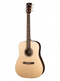Steel String Series ������������ ������ Kremona F10
