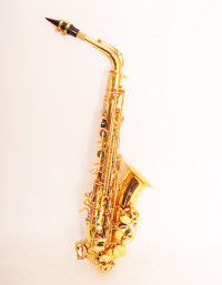 �������� ���� Eb Conductor FLT-SAL