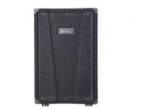 ��������� ������������ ������� 200�� Soundking KJ10