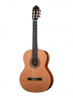 Artist Series Solea ������������ ������ Kremona SOLEA-SA-C-w/case